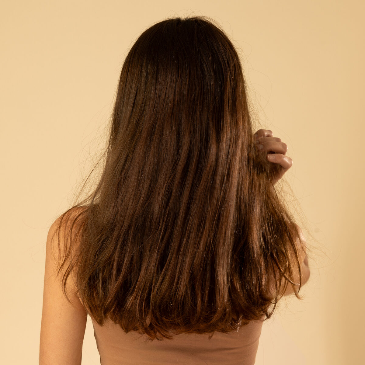 Image de Perruque en cheveux naturel vierge - Longue 30 cm - brun foncé