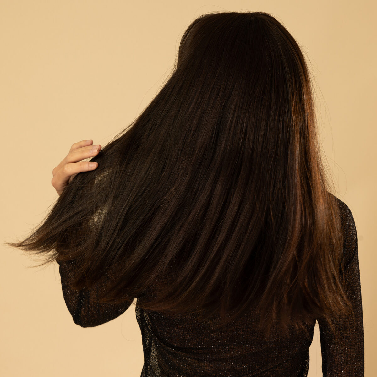 Image de Perruque en cheveux naturel vierge - Longue 25 cm - brun foncé