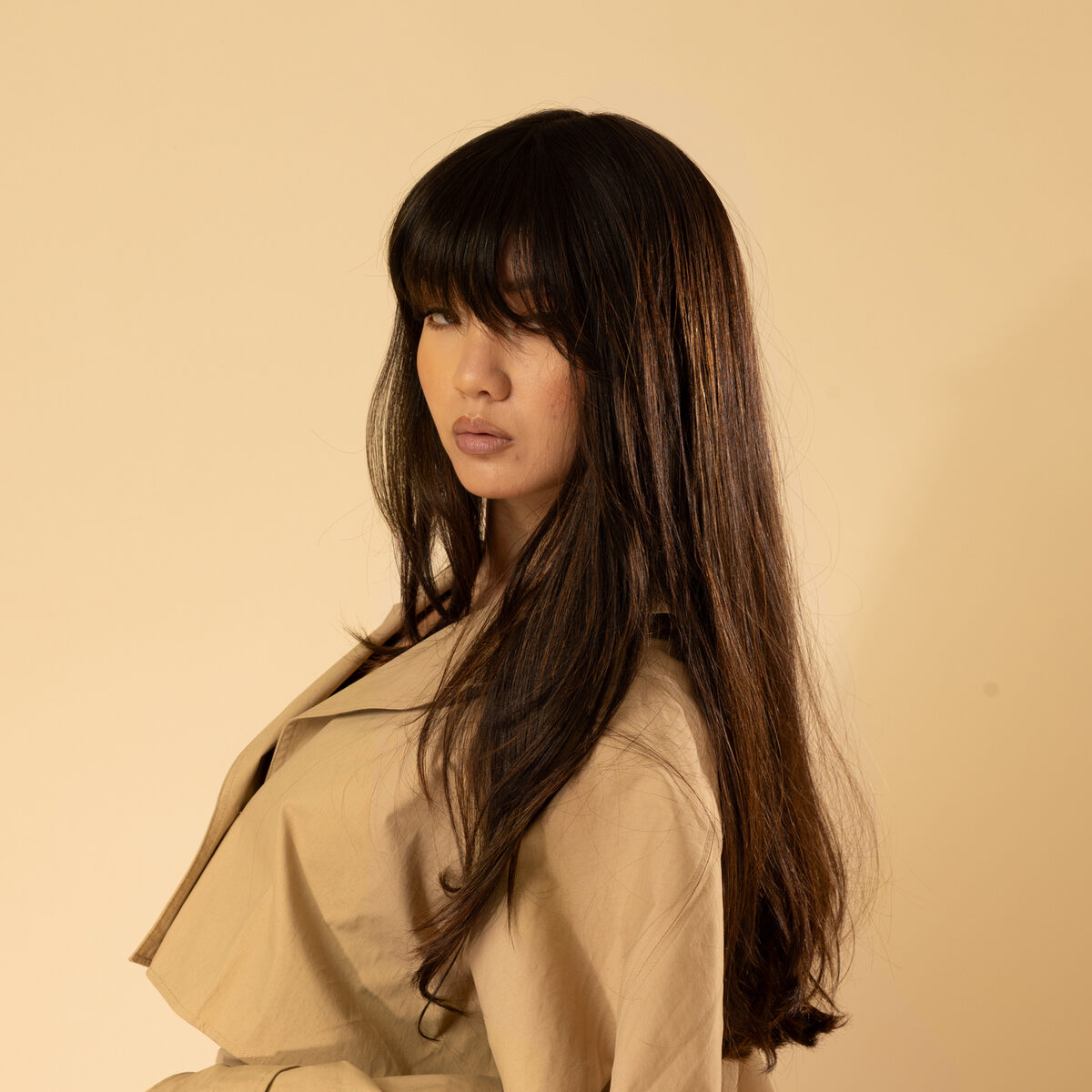 Image de Perruque en cheveux naturel vierge - Mi-longue 25 cm - brun foncé