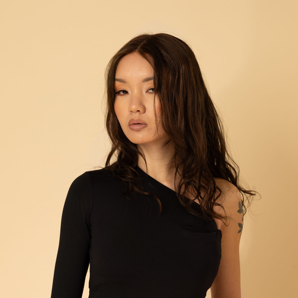Image de Perruque en cheveux naturel vierge - Longue 30 cm - brun foncé
